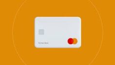 Do Developers Use Namso Gen for Generating Credit Cards